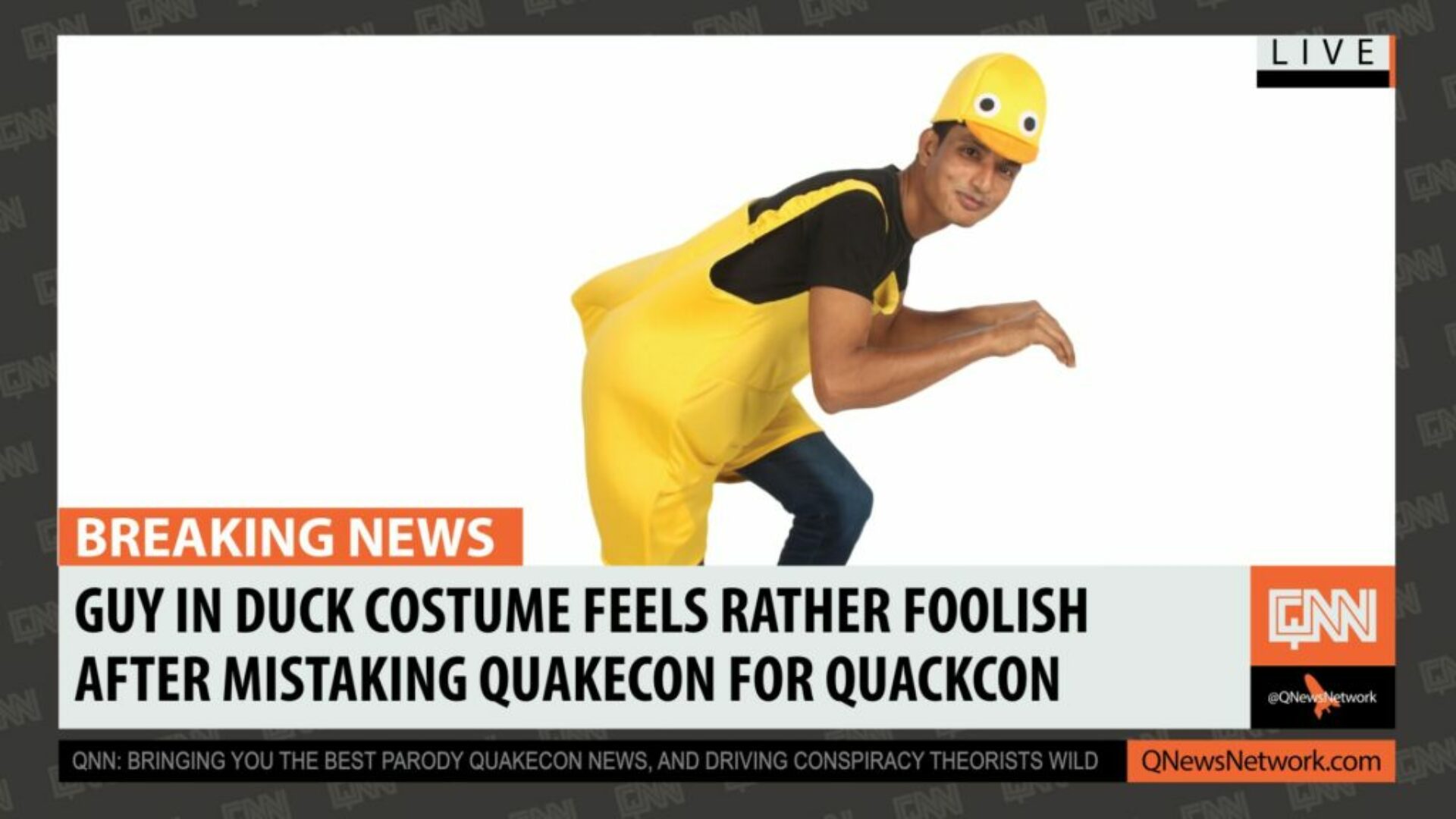 duck costume