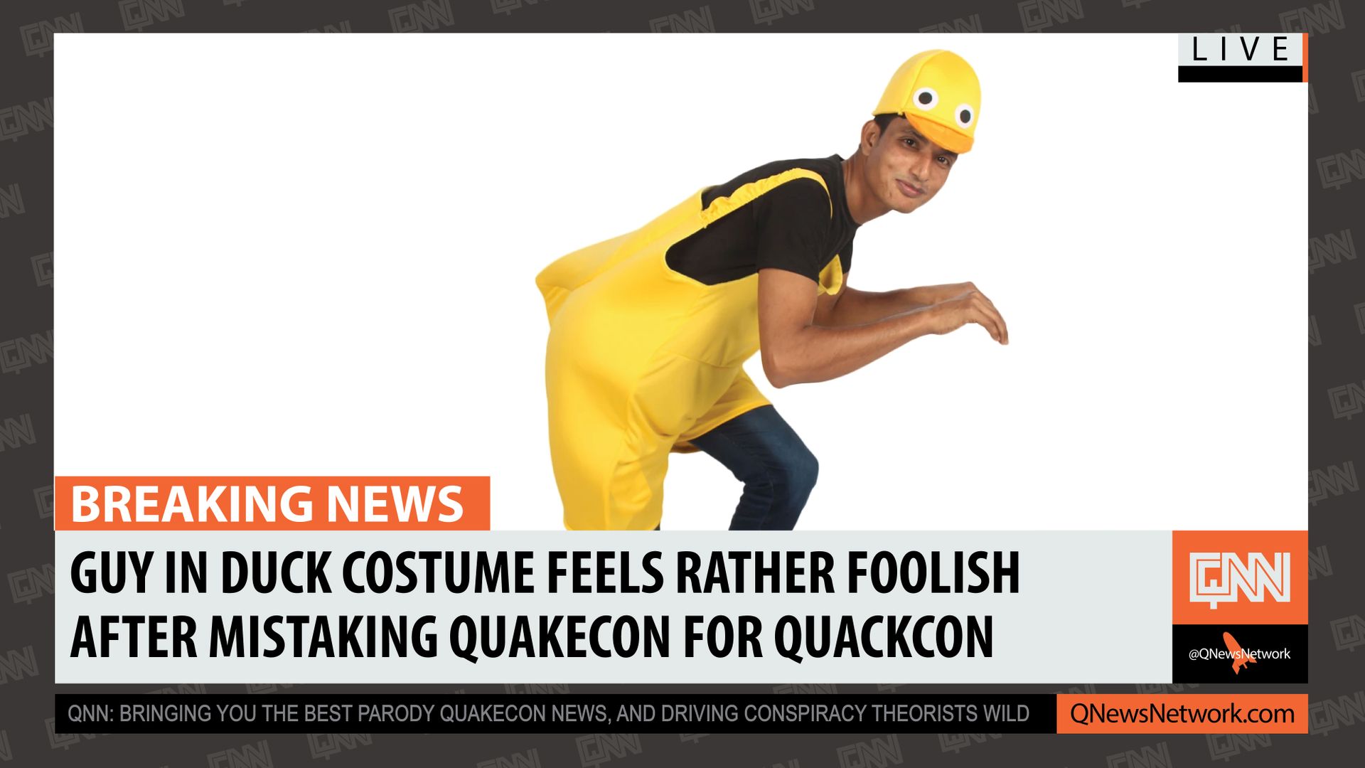 duck costume